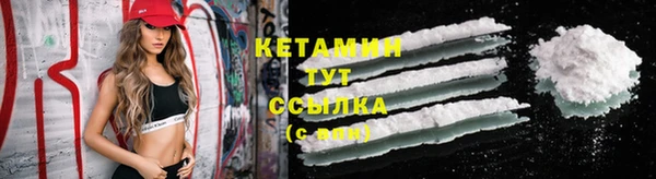 прущие грибы Михайловка
