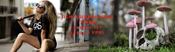 спайс Михайловск