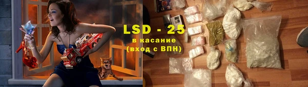 прущие грибы Михайловка