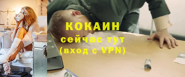 прущие грибы Михайловка
