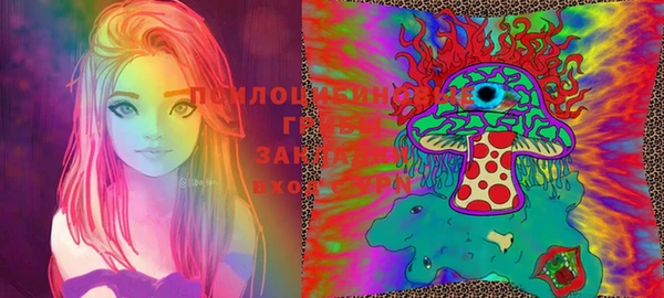 прущие грибы Михайловка