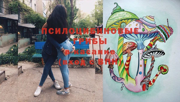 прущие грибы Михайловка